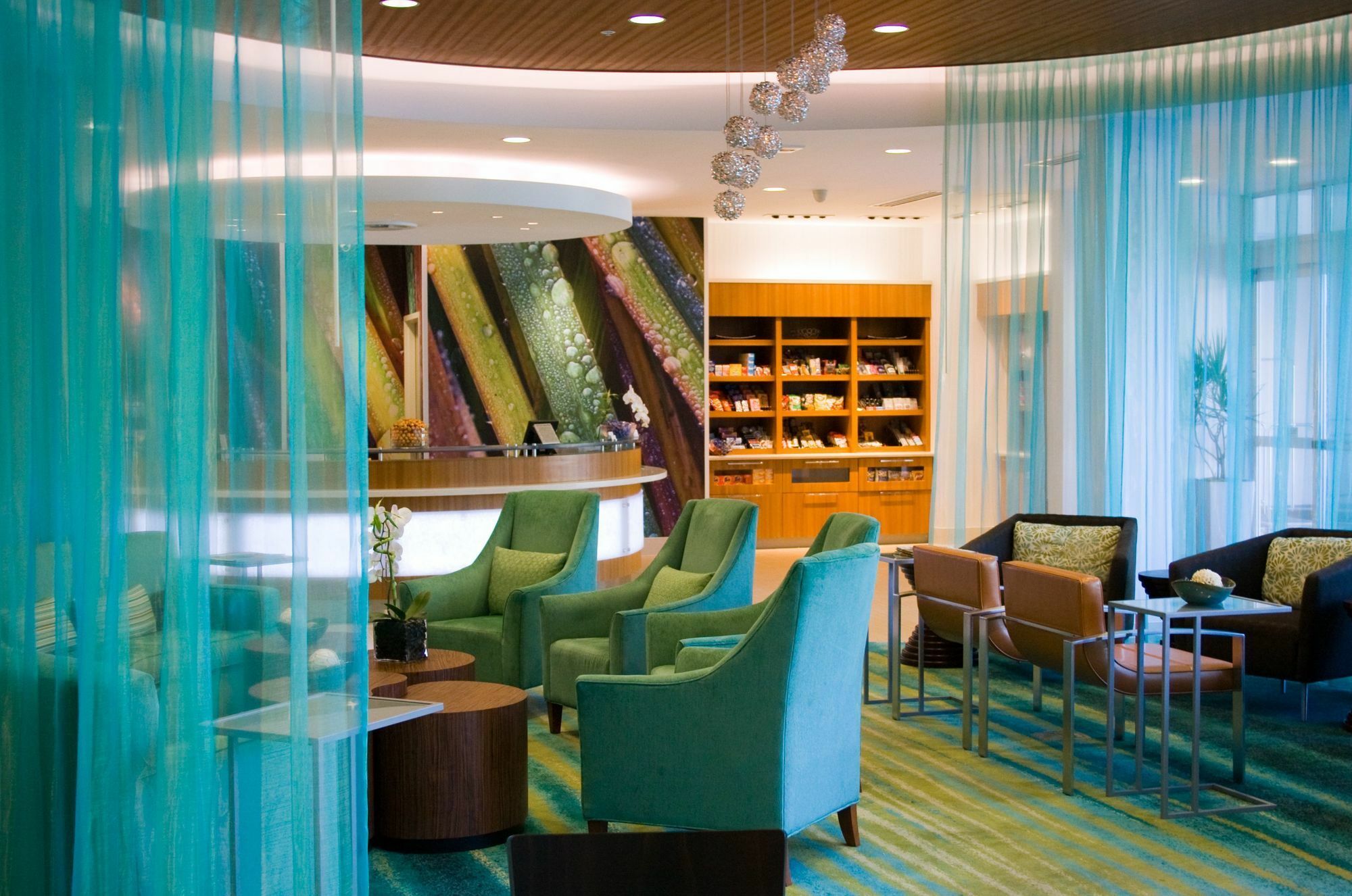Springhill Suites By Marriott Houston Зе-Вудлендс Екстер'єр фото